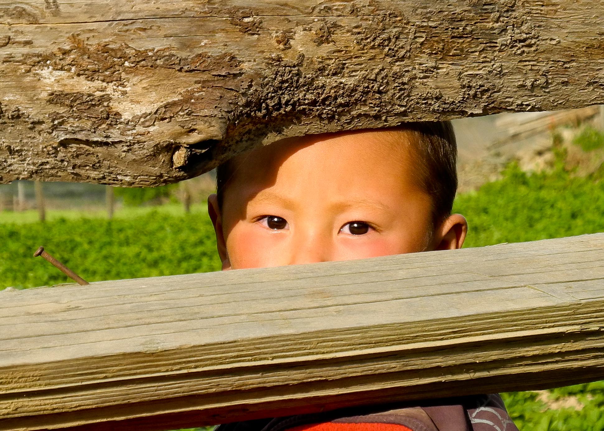 Curious young boy in Gangtey, Bhutan