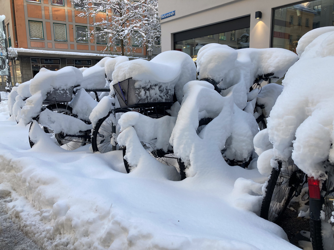 Auf dem Heimweg in München gestrandet