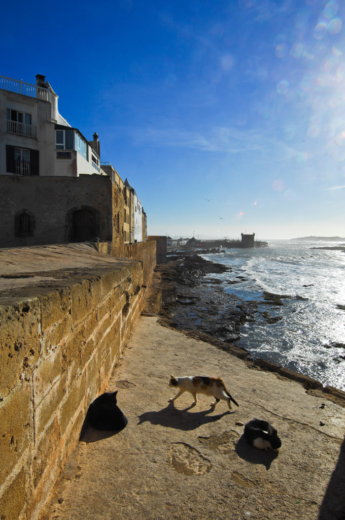 Stadtmauer am Meer, Essaouira