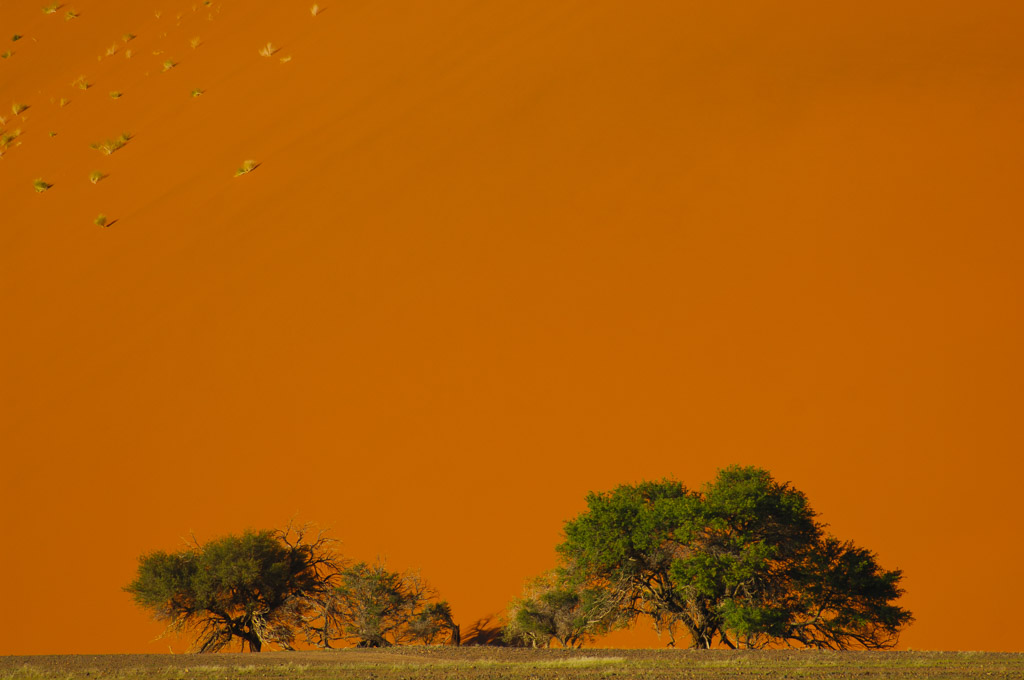 Sossusvlei, Düne 45