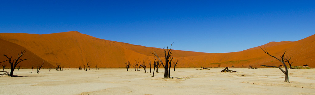 Sossusvlei, dead vlei