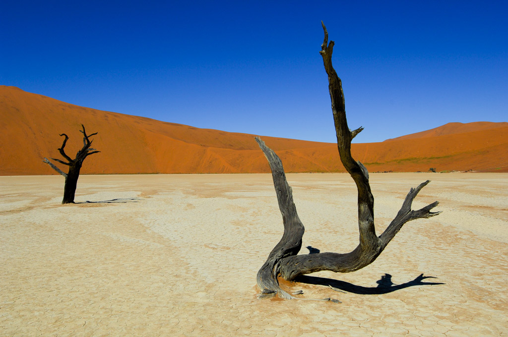 Sossusvlei, dead vlei
