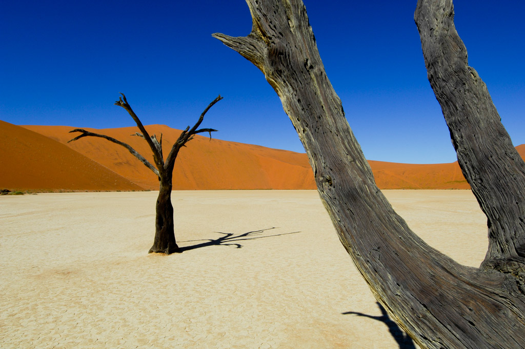 Sossusvlei, dead vlei