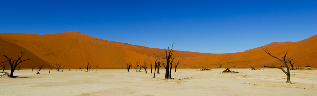Sossusvlei, dead vlei, Namibia