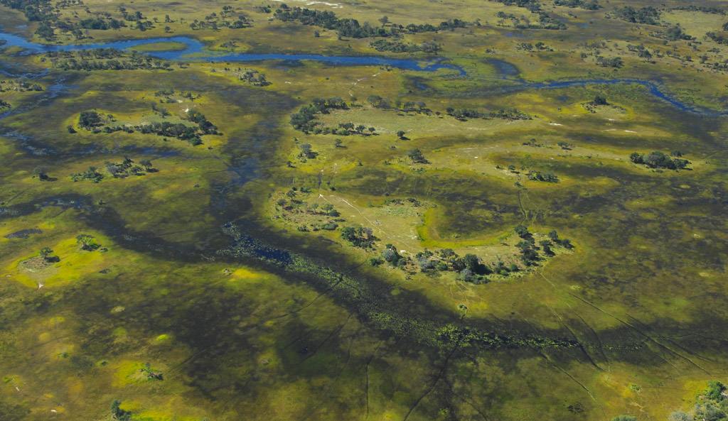 Okavango from above