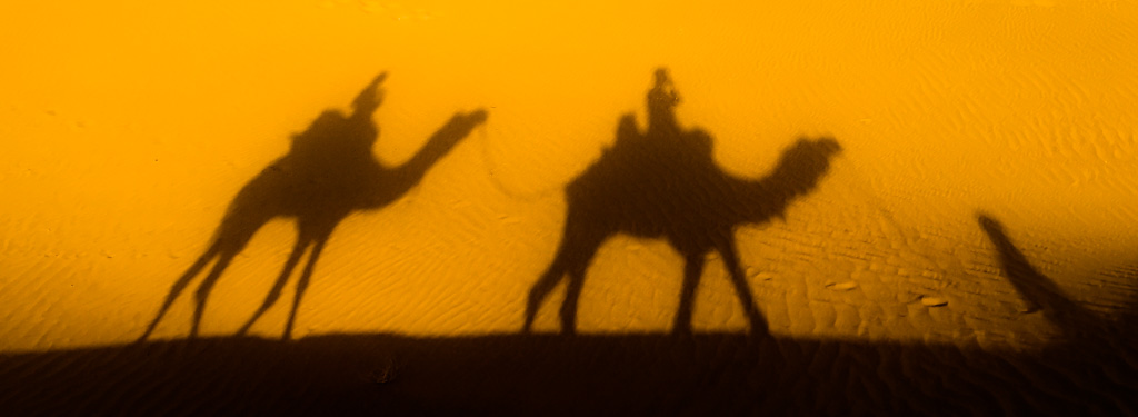 Camel Safari in Jaisalmer, Rajasthan