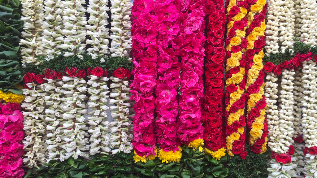 Offering flowers at Kapaliswarar-Tempel in Chennai, Tamil Nadu