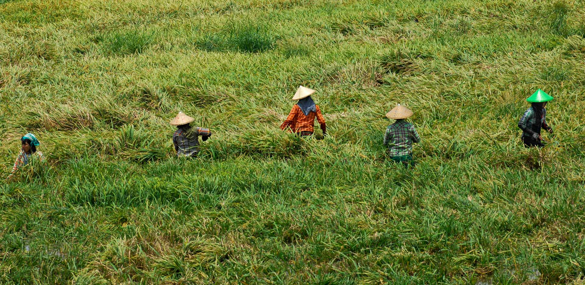 Fieldworker under U Bein Bridge