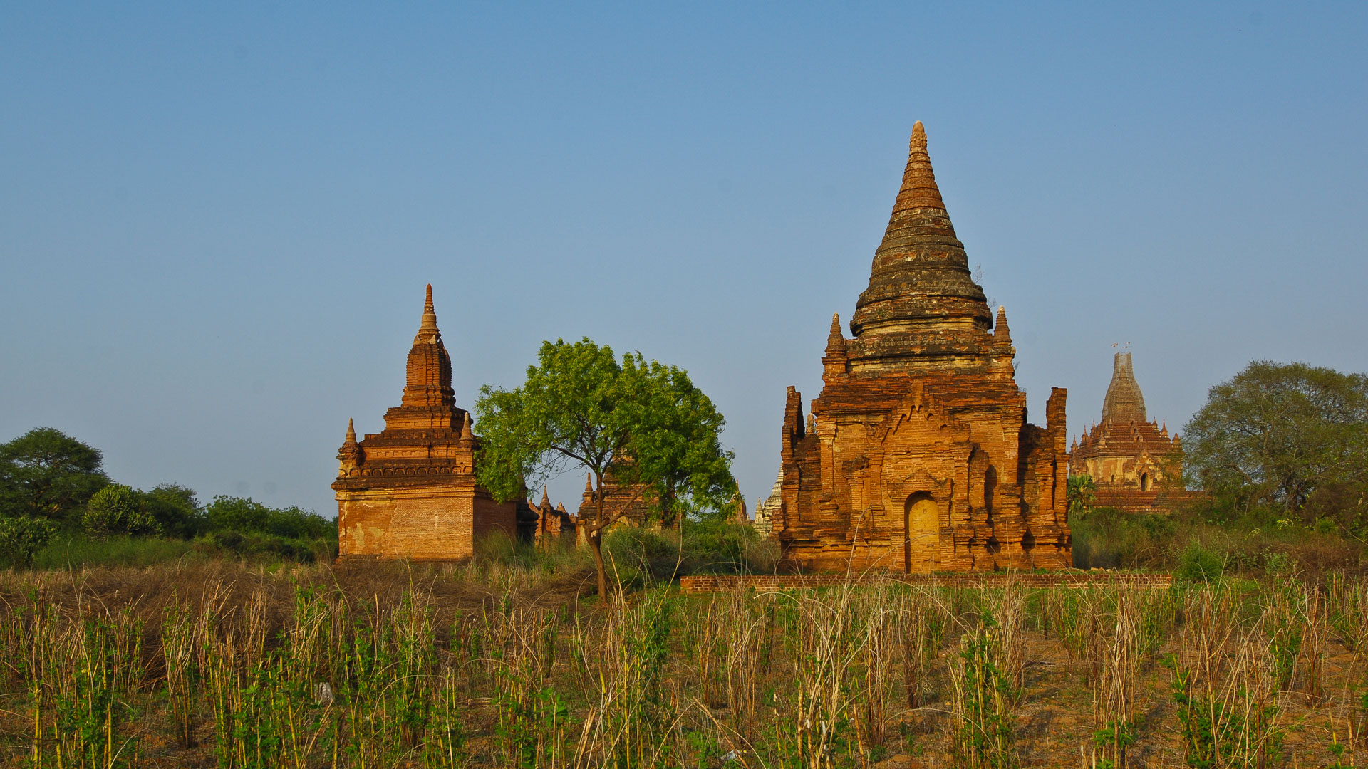 Stupas at Bagan