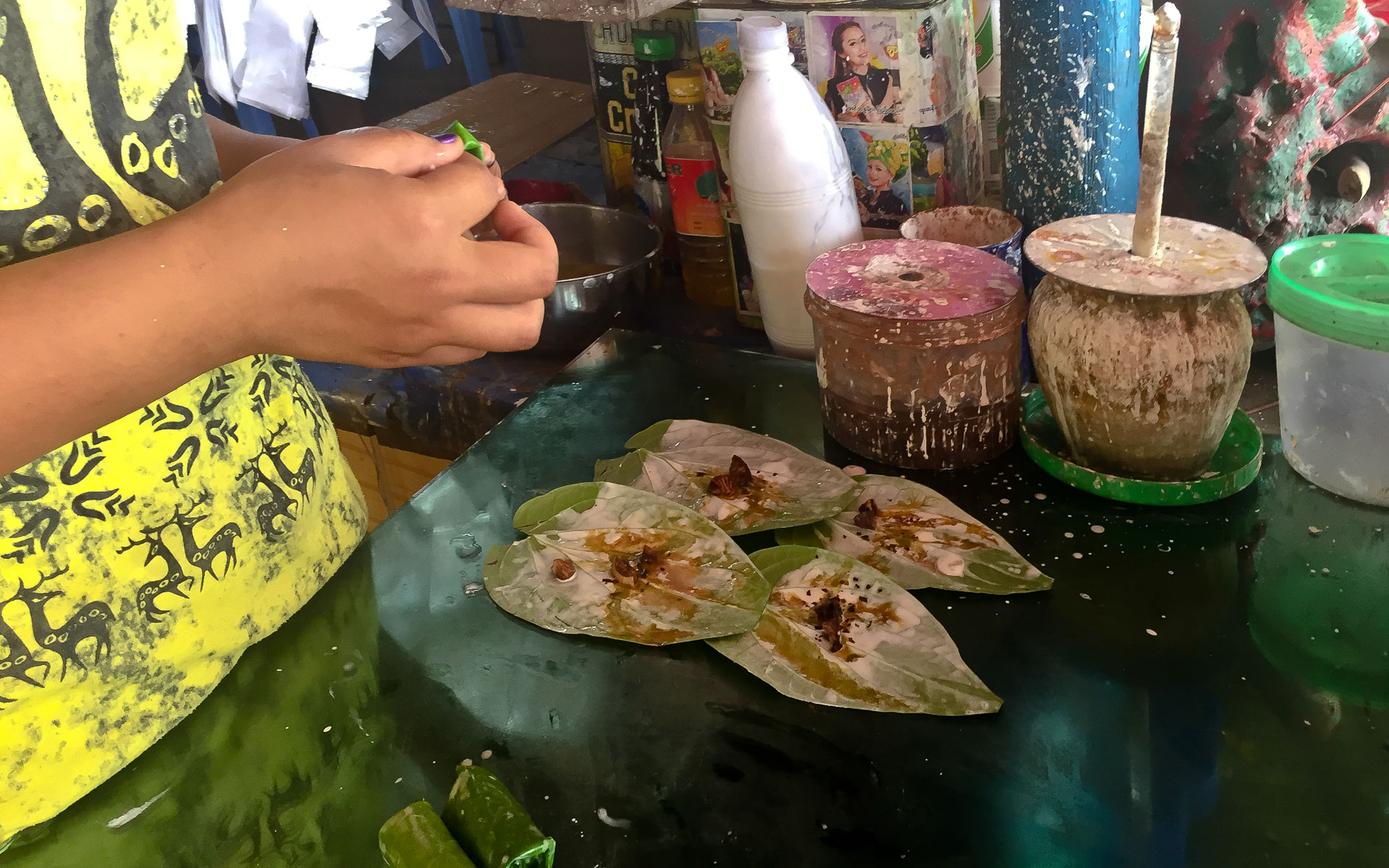 Betel palm (Areca catechu)