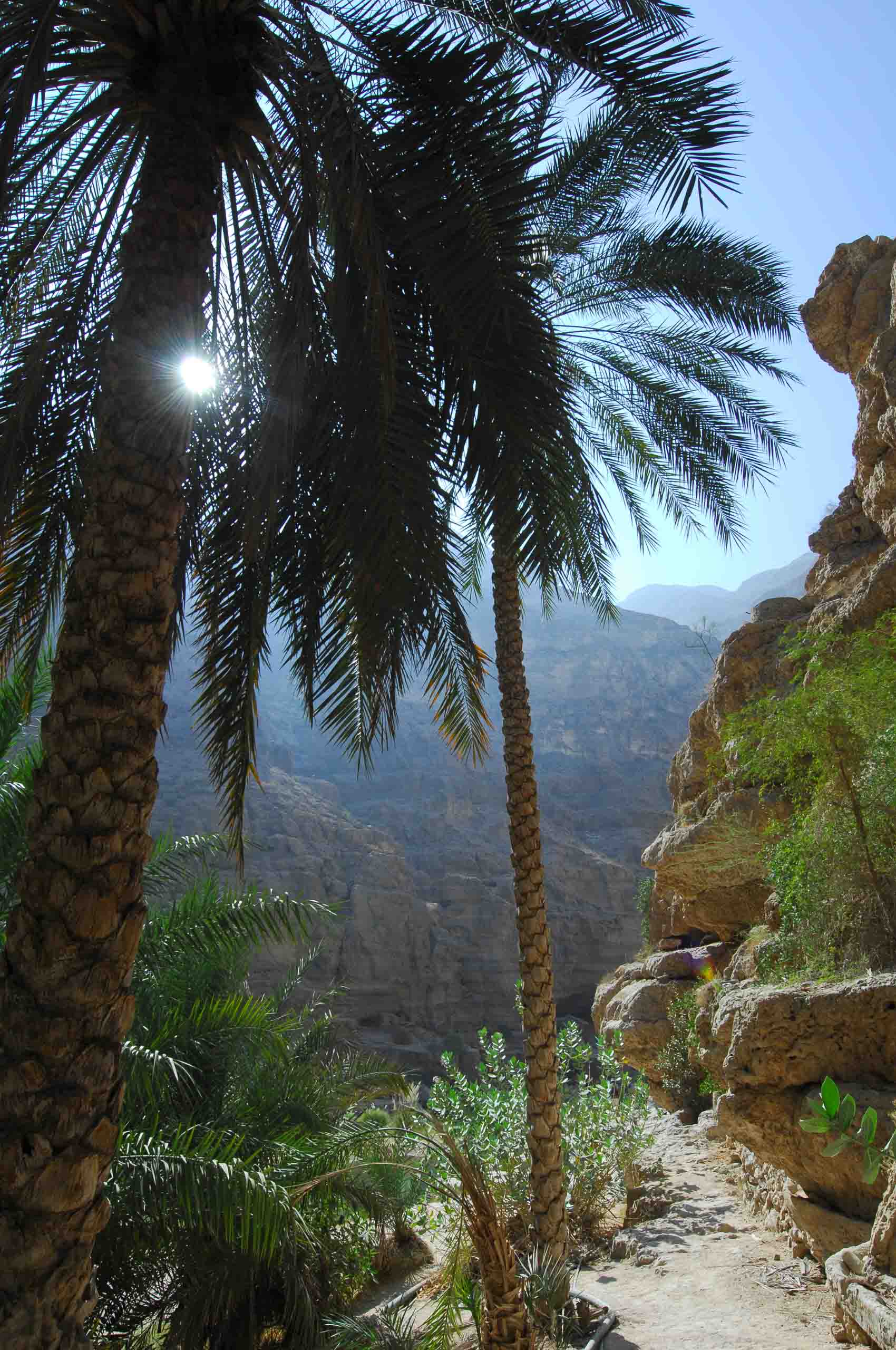 Wadi Shab