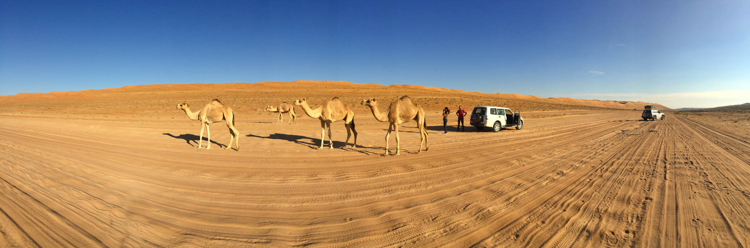 Desert Camp südlich von NIzwa