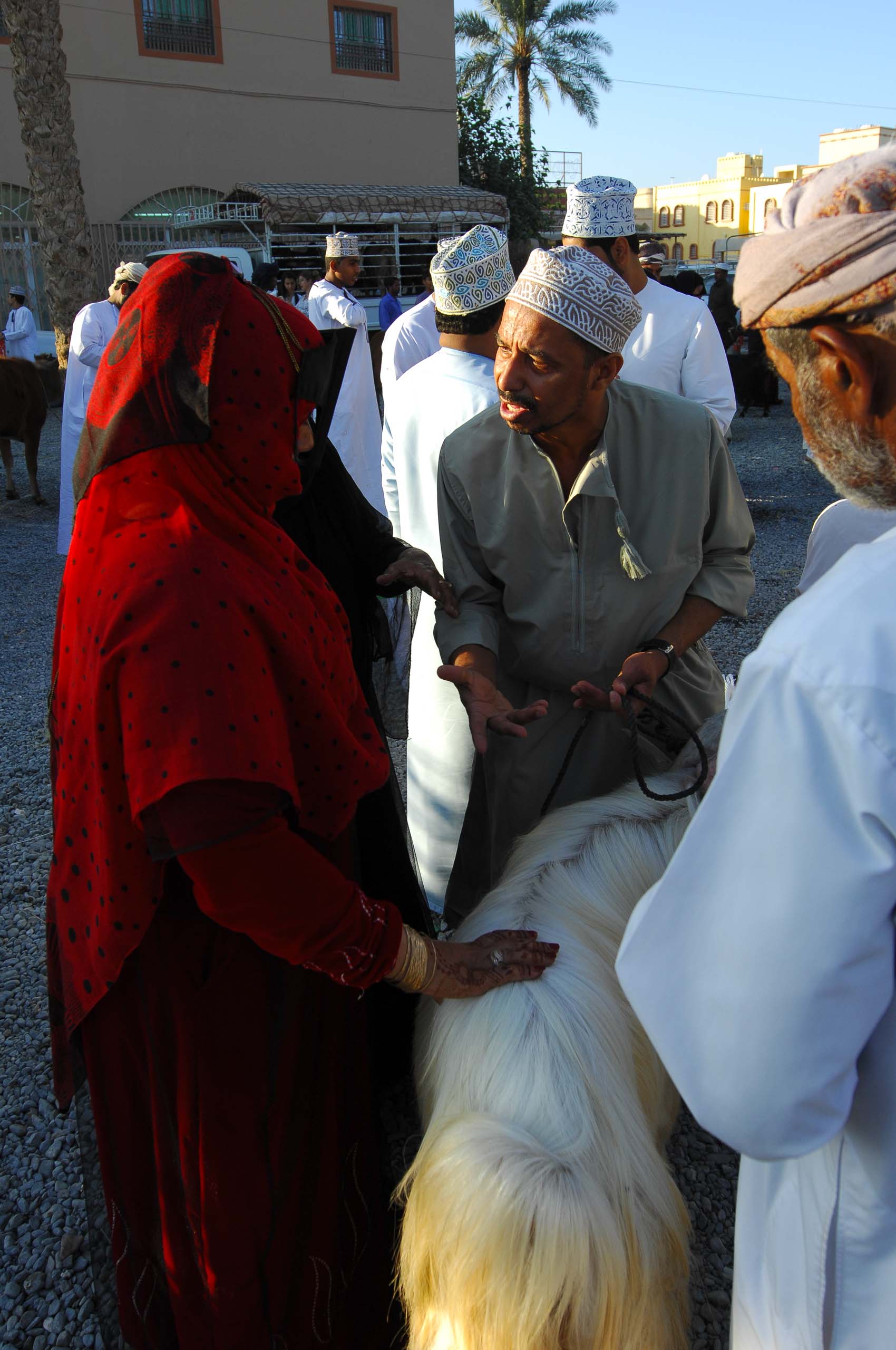 Cattle dealer, Nizwa, Oman