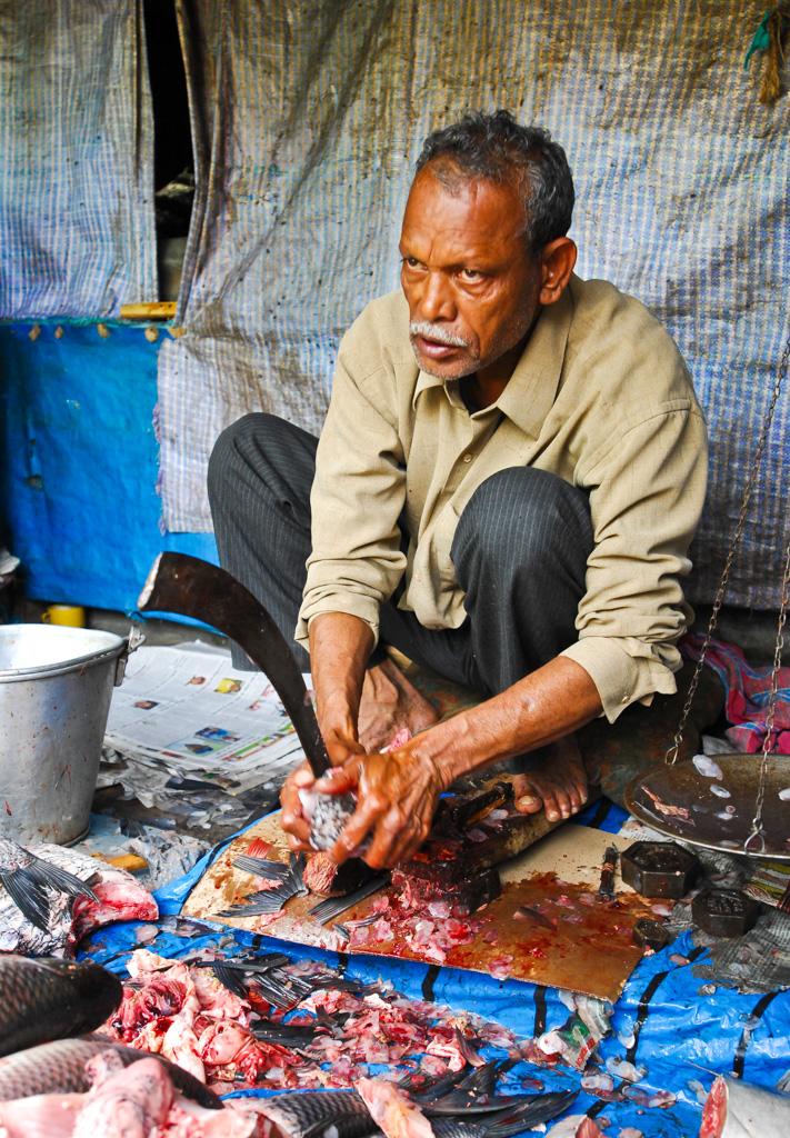 Fish merchant, Darjeeling, India