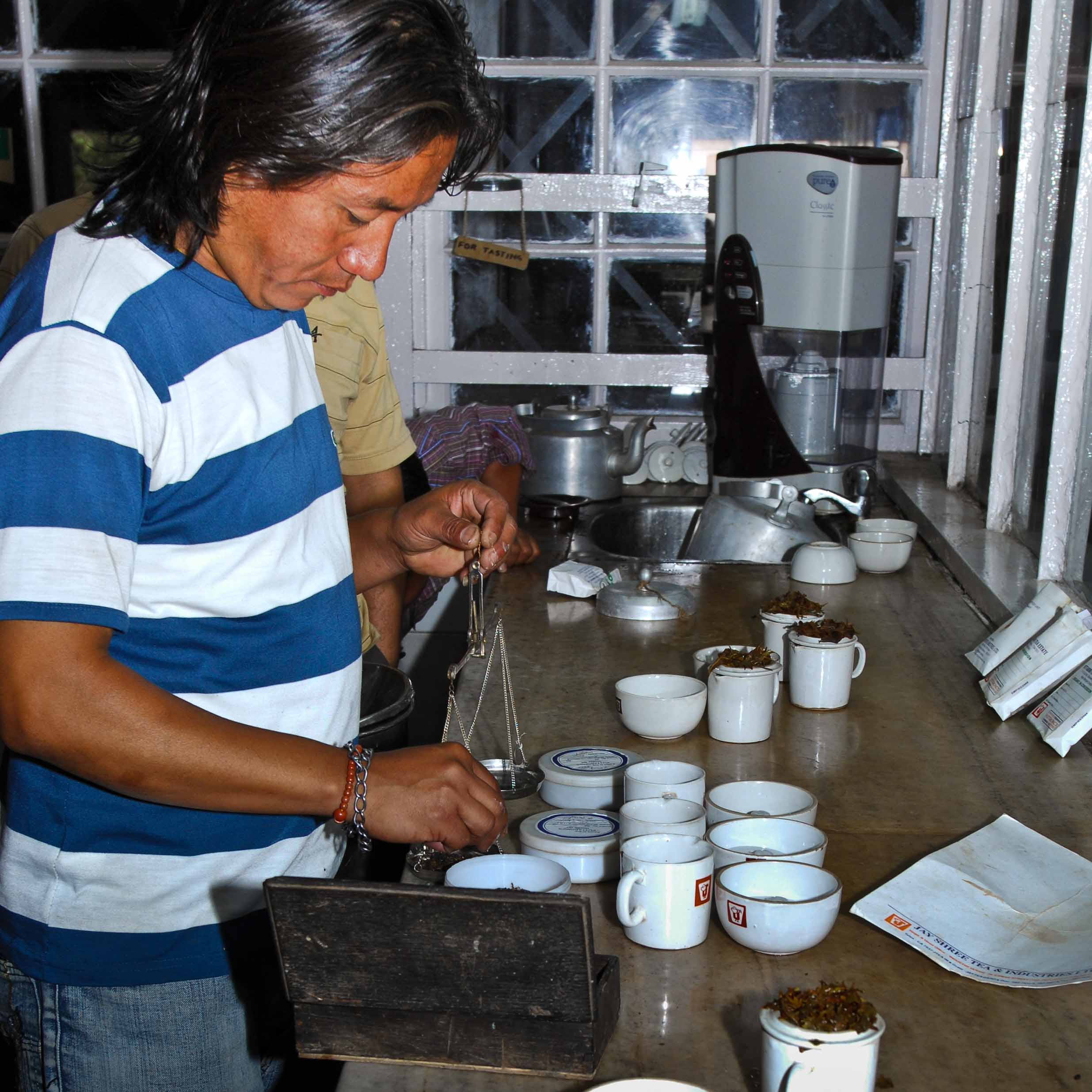 Preparing the tea for tasting