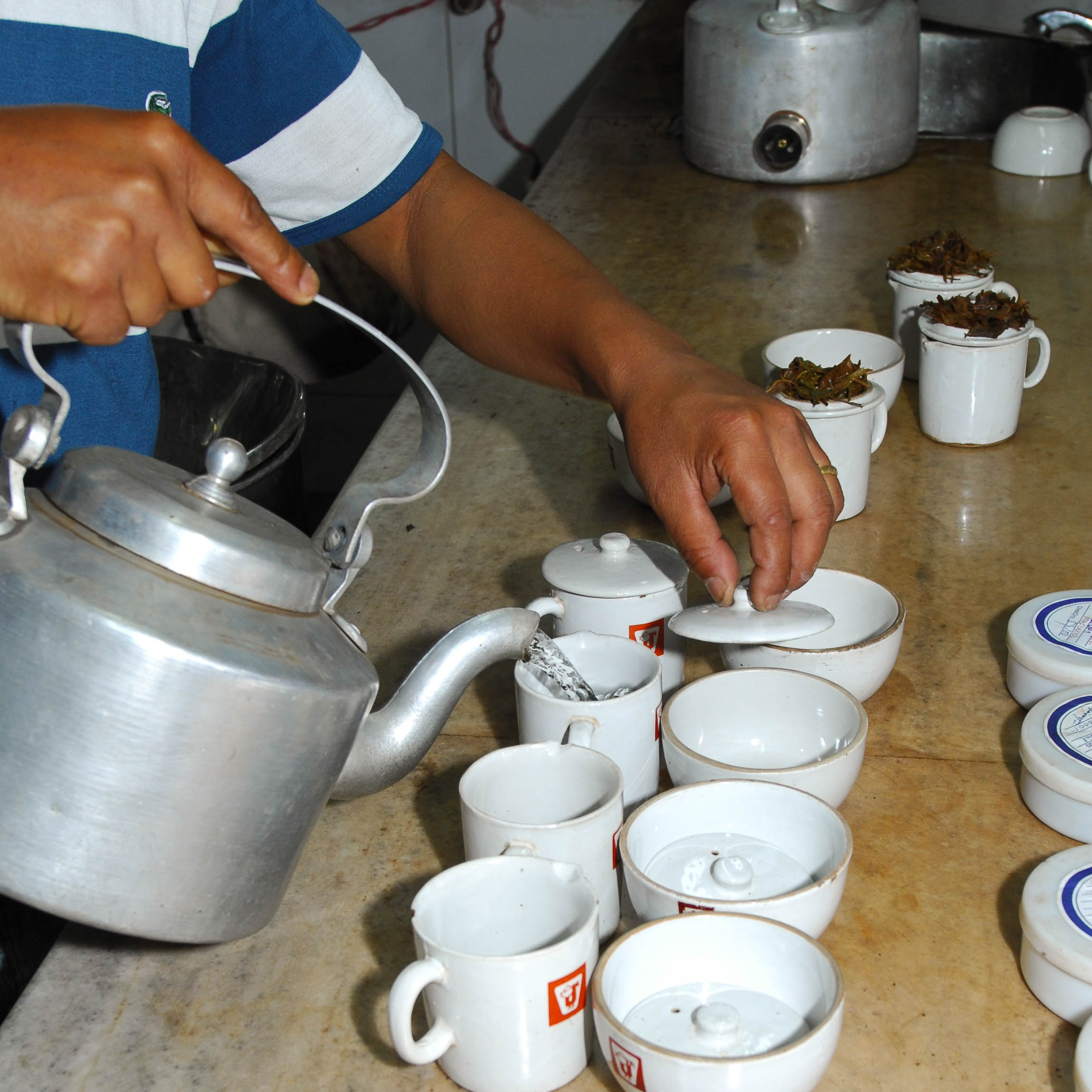 Preparing the tea for tasting