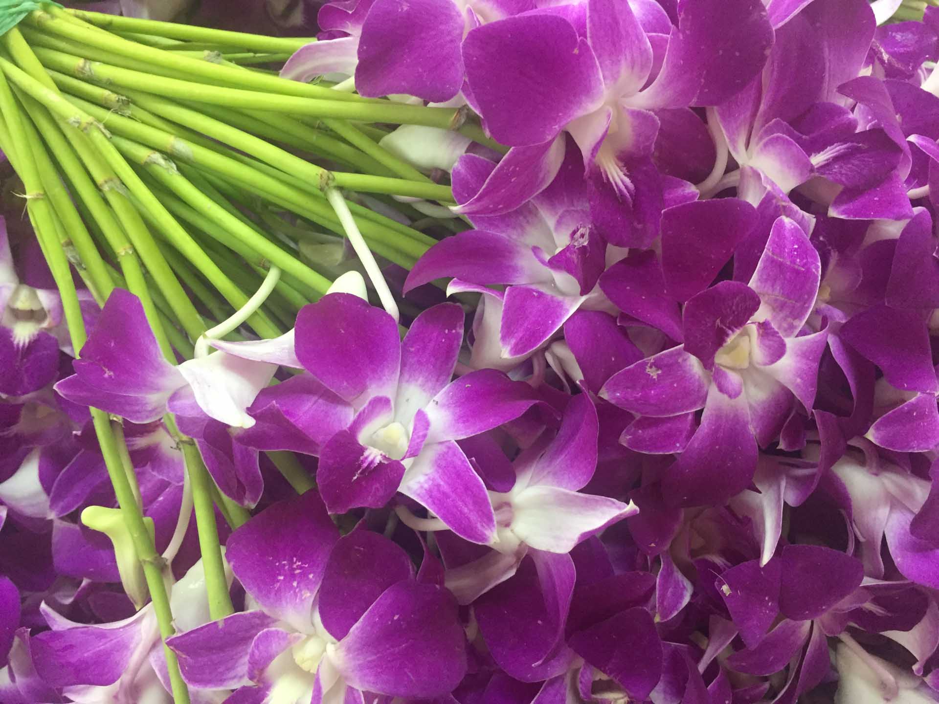 At the flower market