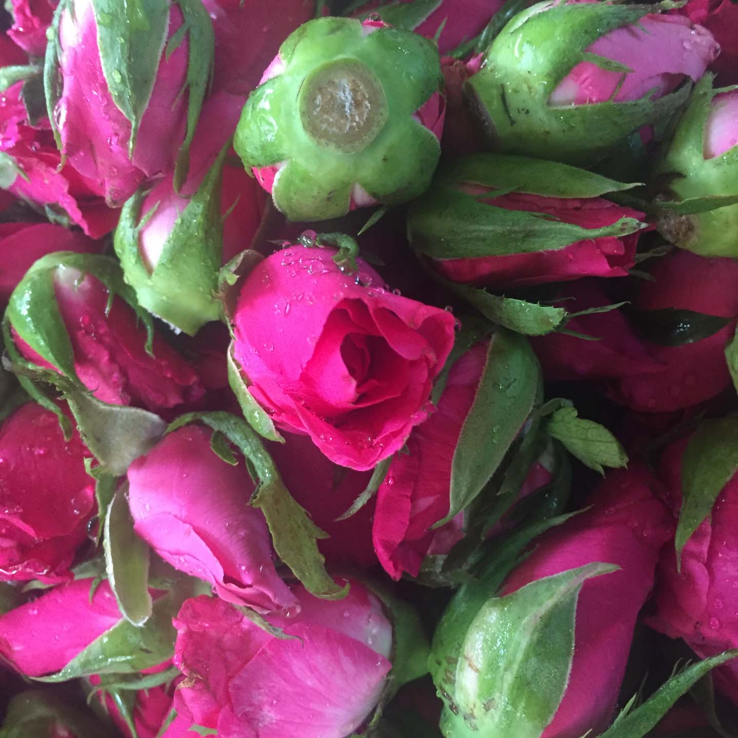 At the flower market
