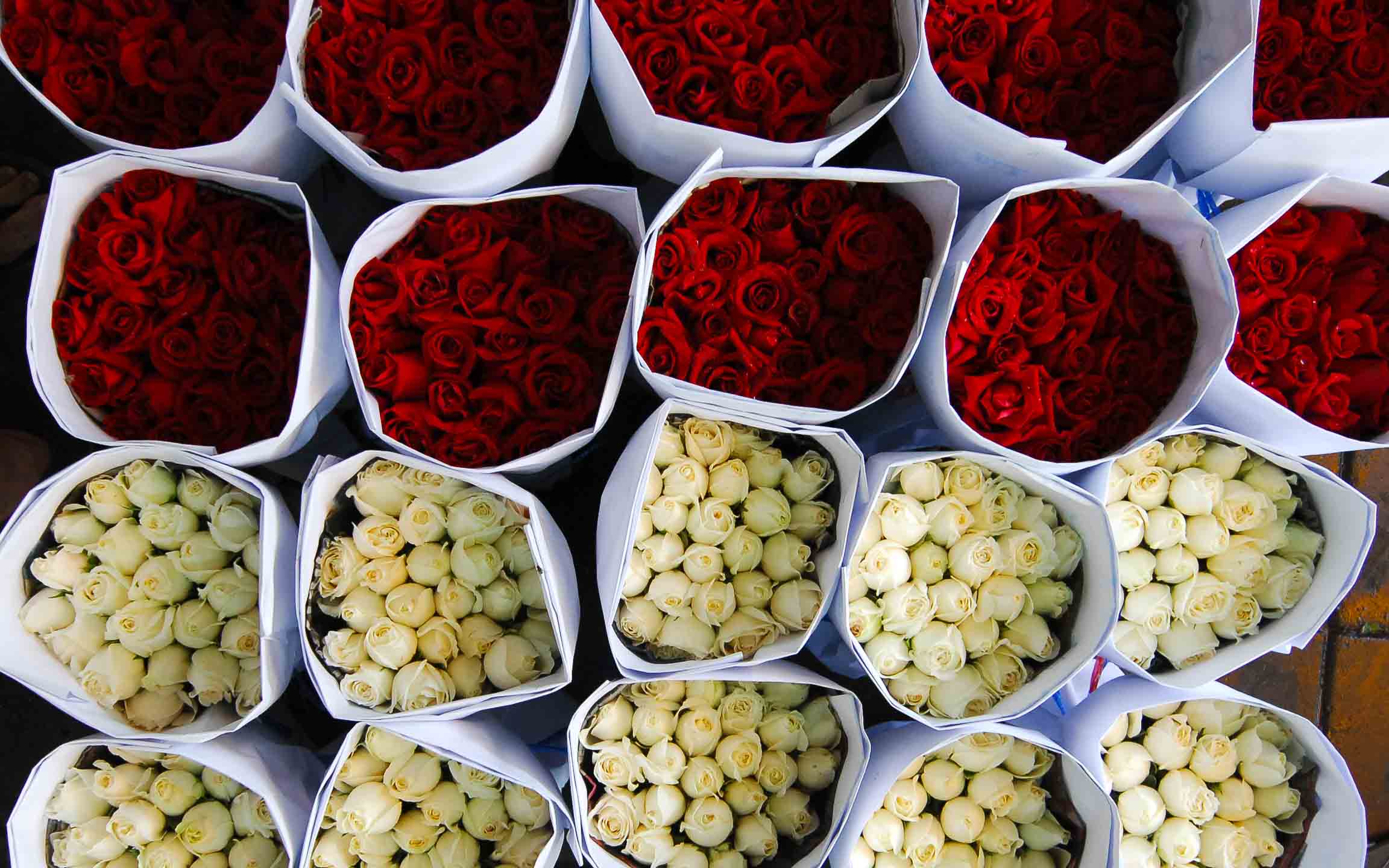 Flower bunches red and white