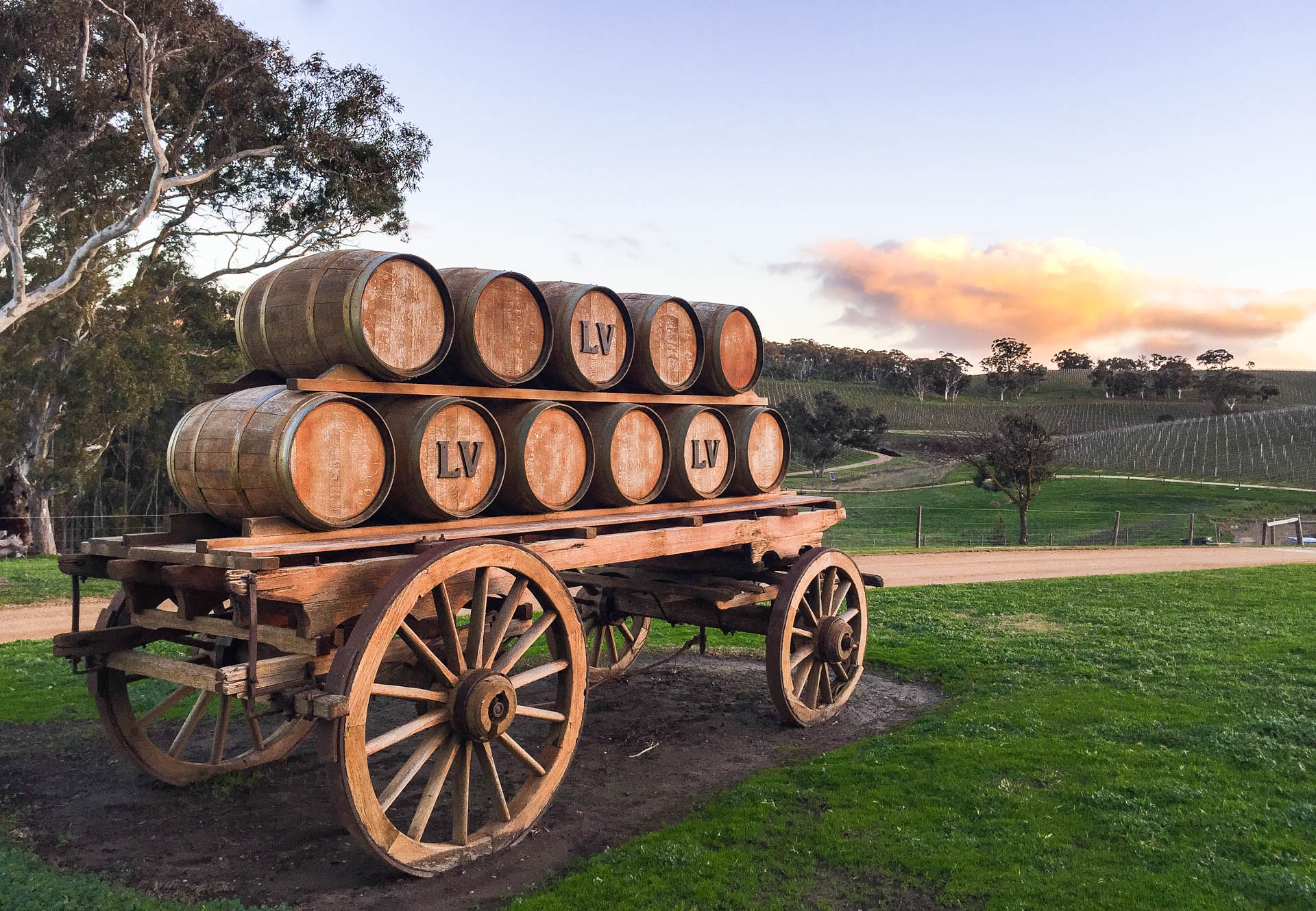 Vineyard of Longview