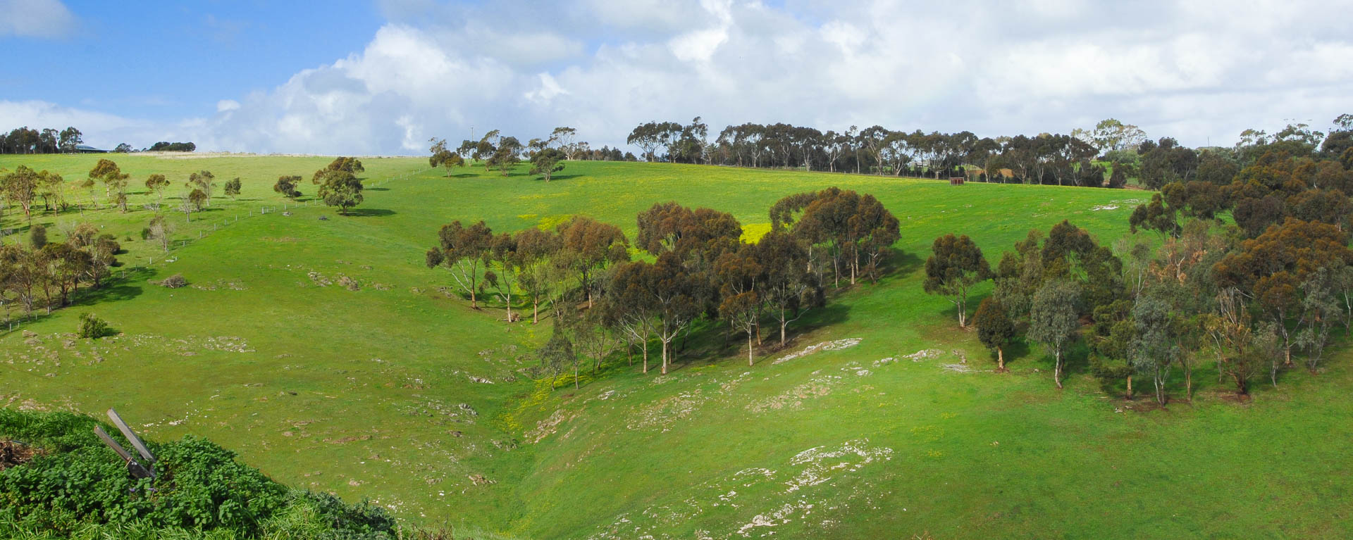 The green valleys of South Australia