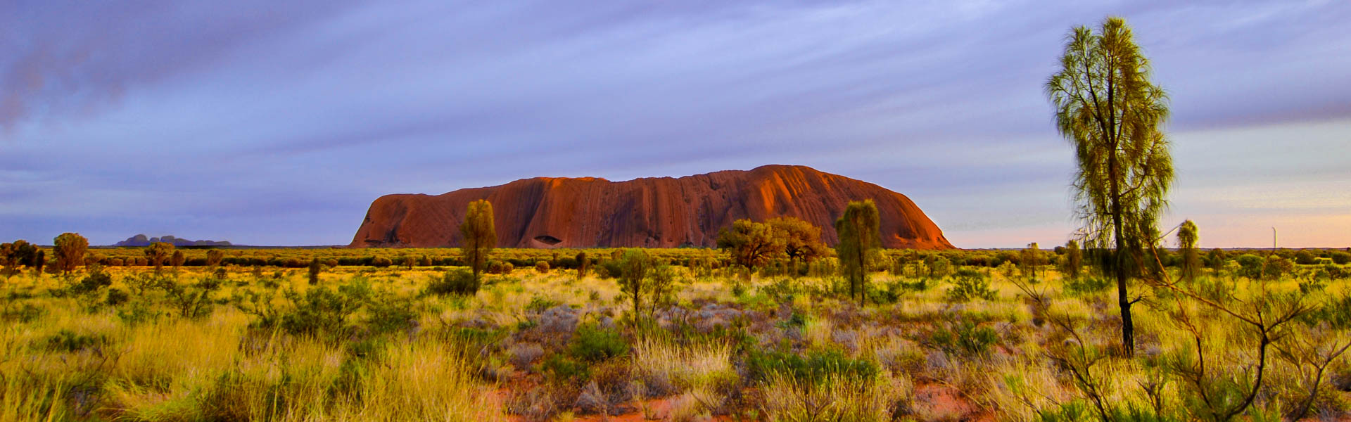 The Uluru at sunrise