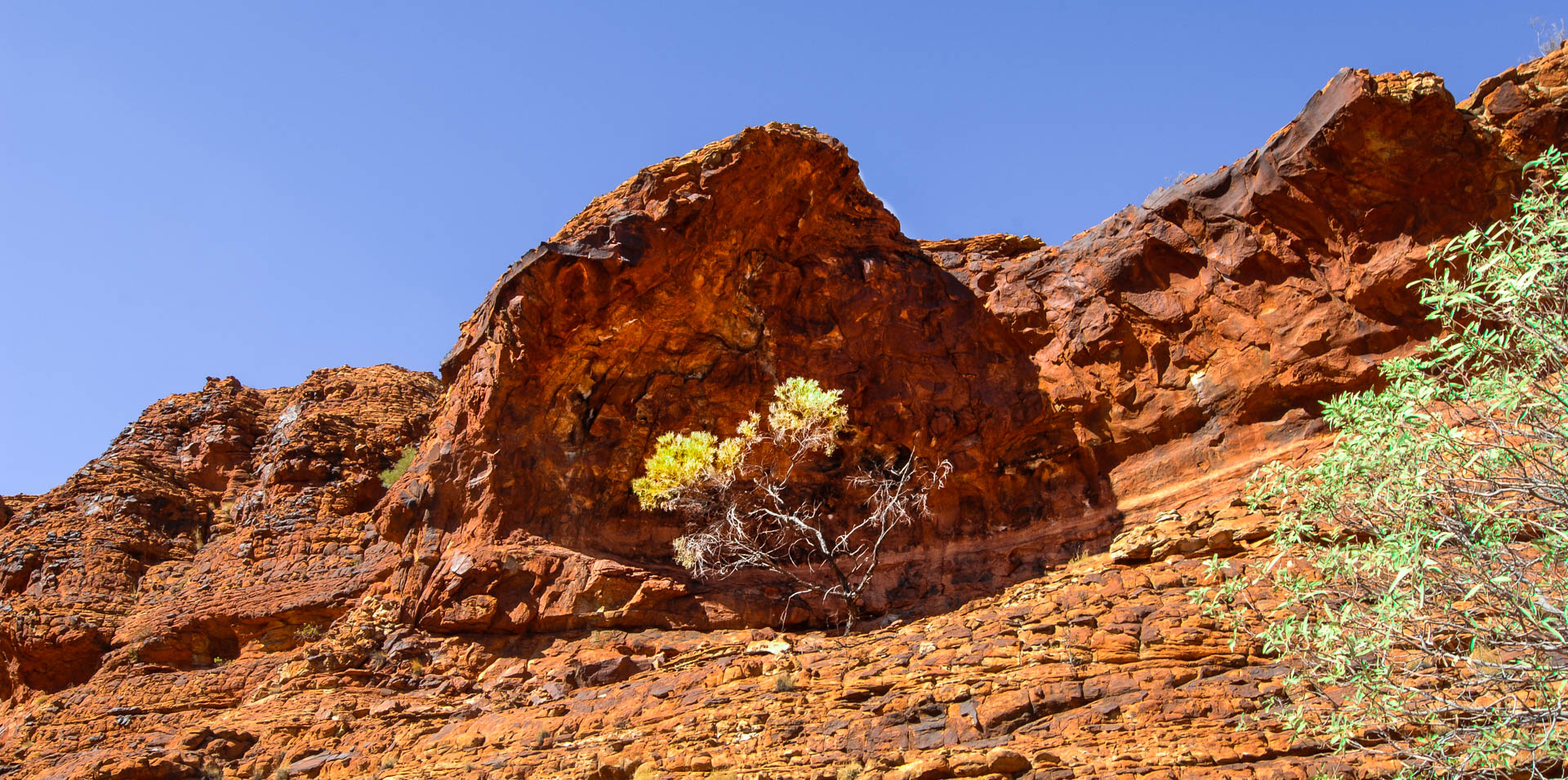 Kings Canyon walk