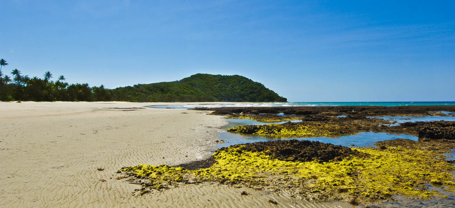 Cape Tribulation, Queensland