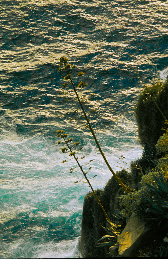 Küste bei Corniglia