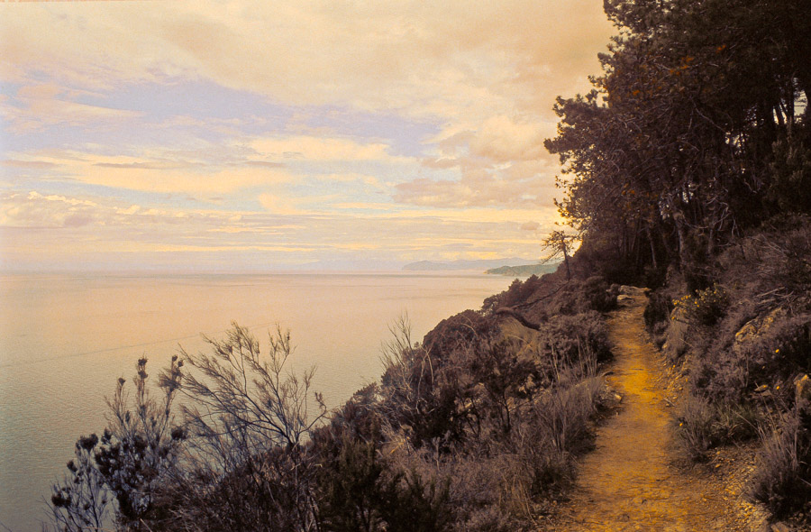 Wanderweg nach Monterosso