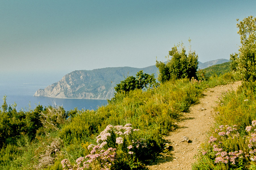 Wanderweg nach Monterosso