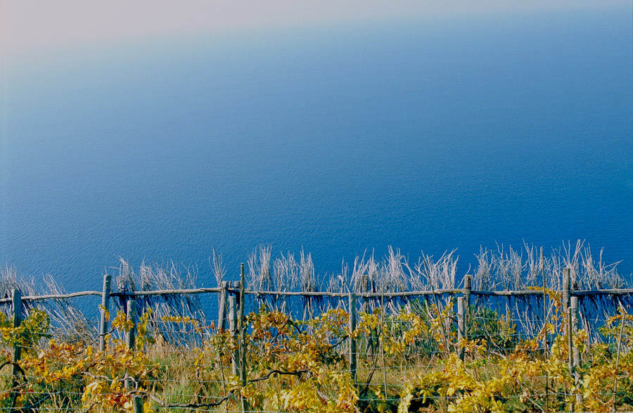 Wanderweg nach Manarola