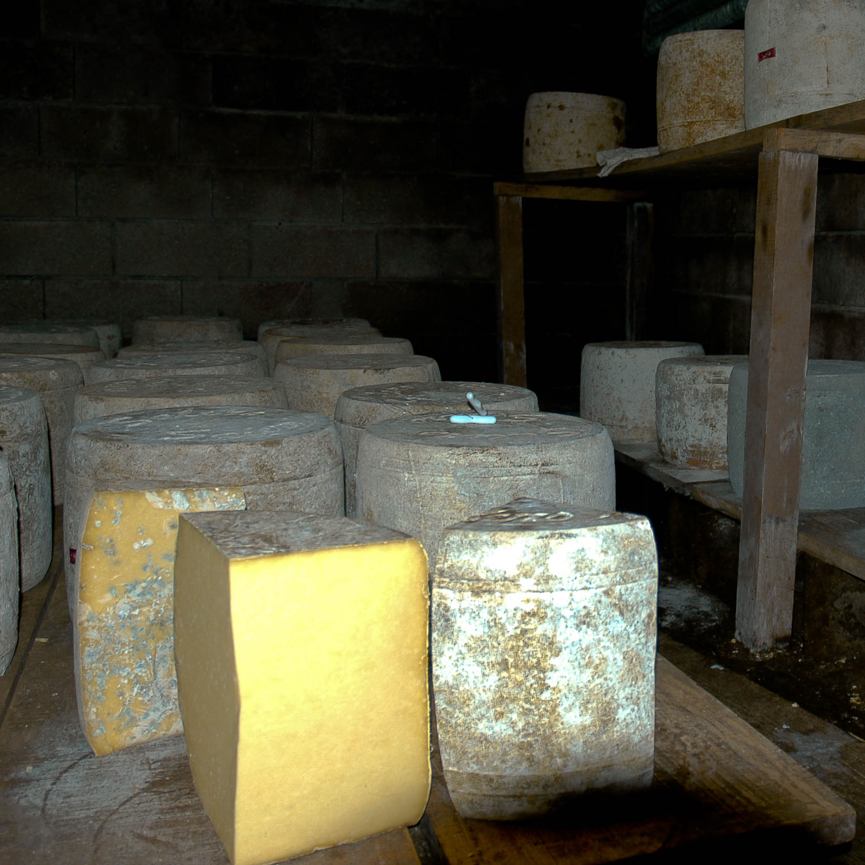 Fromage de Salers, Auvergne