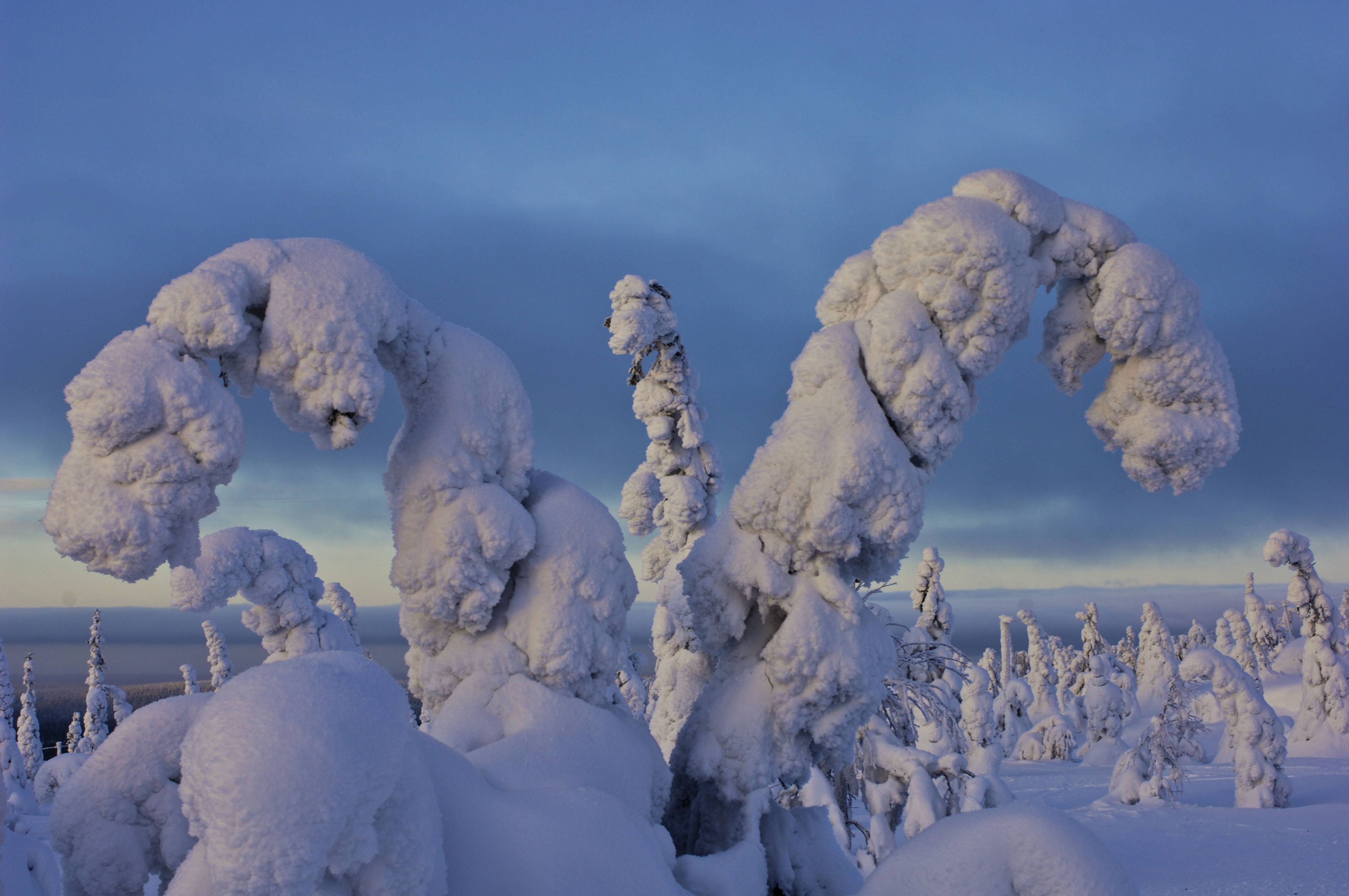 Syöte National Park, Finland