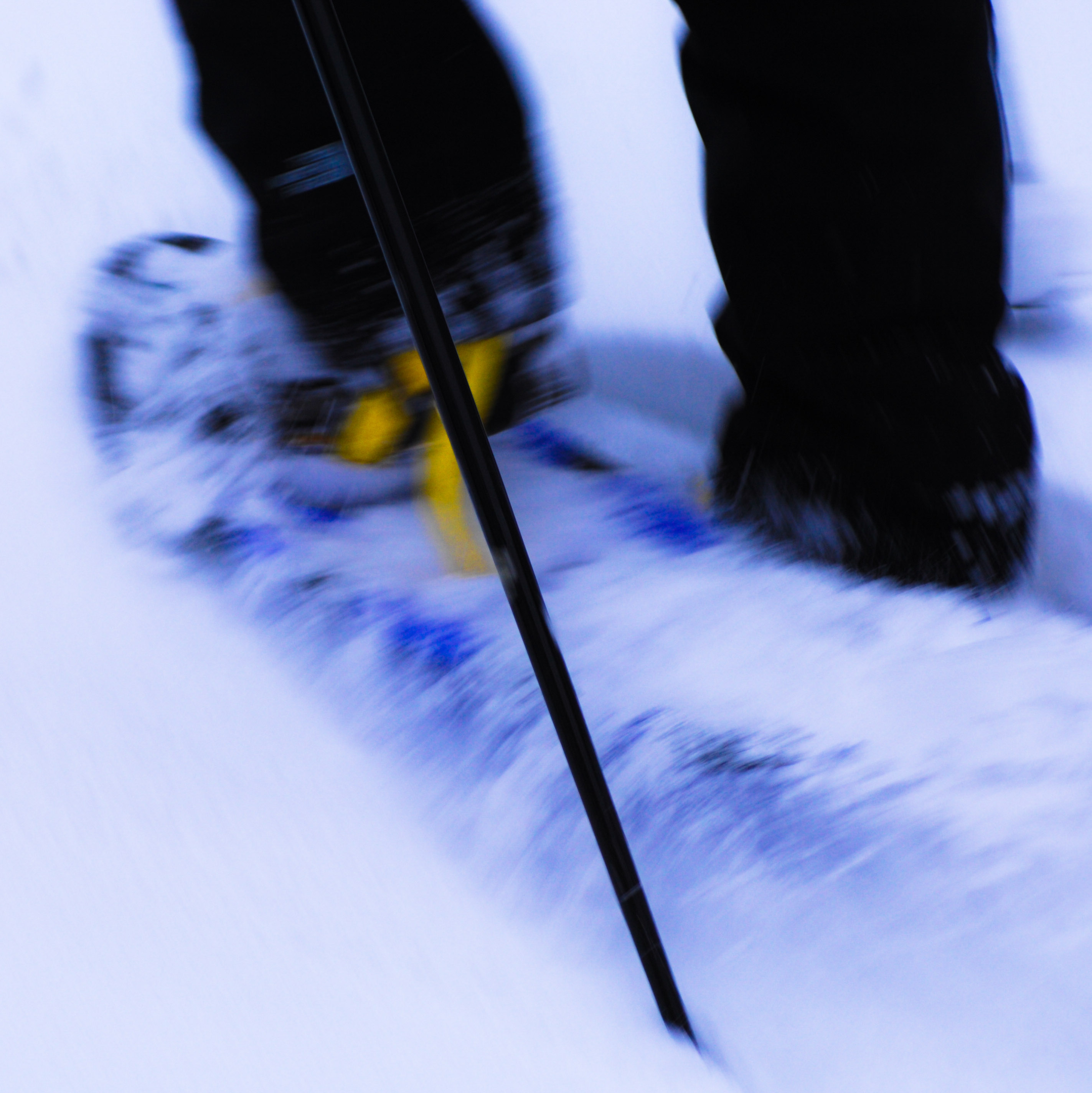 Snowshoe hike