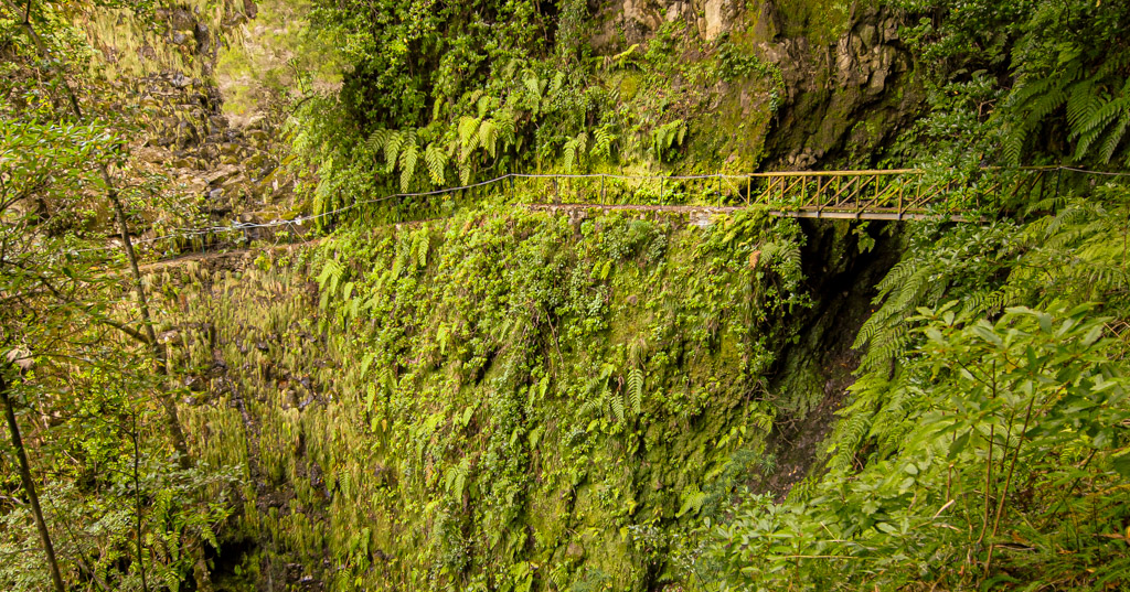 Levada dos Cedros