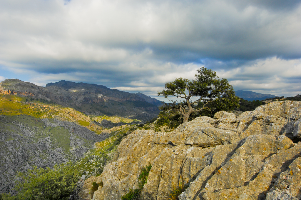 Schönes Inland von Mallorca