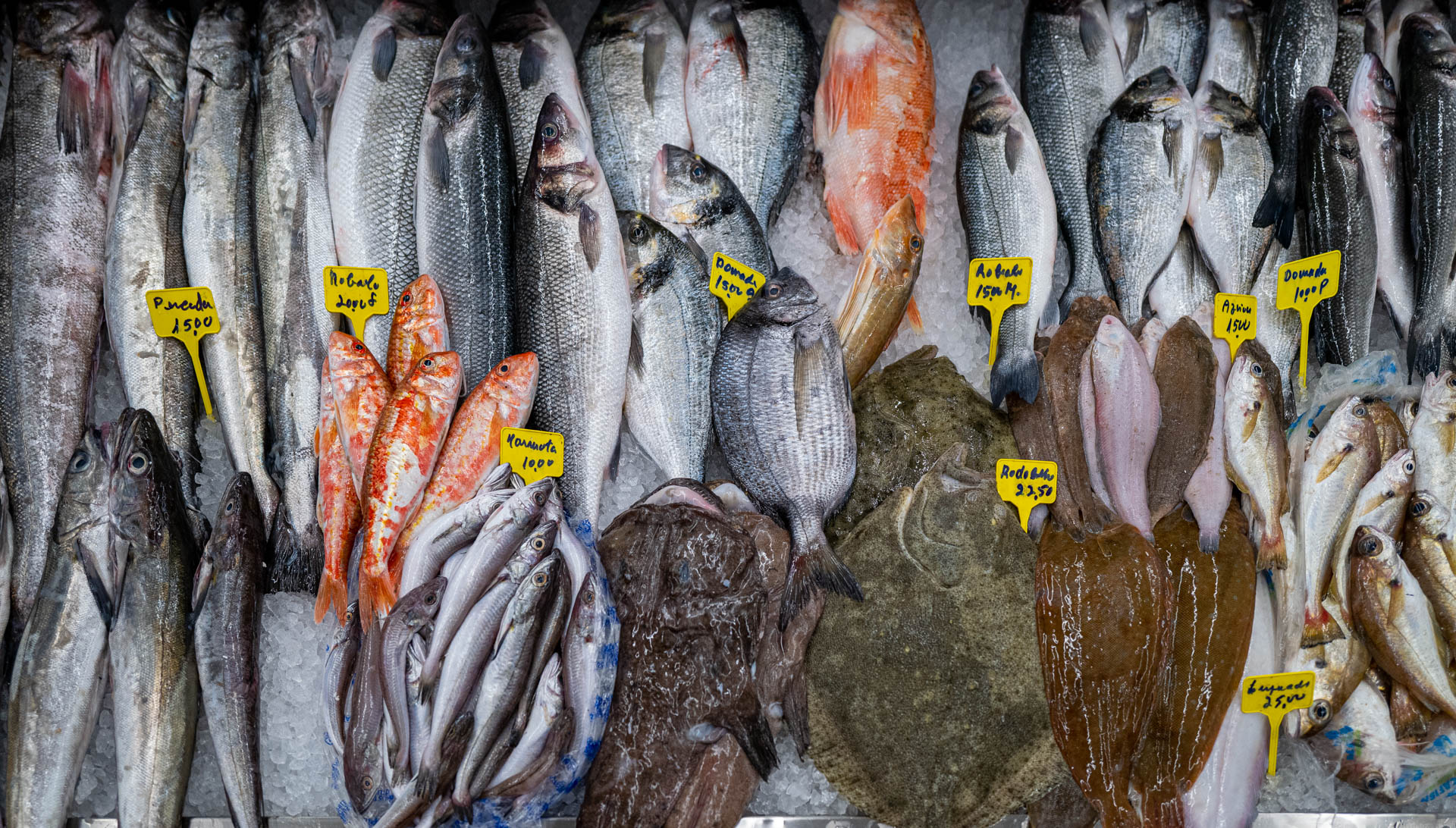 Mercado Temporário do Bolhão, Porto