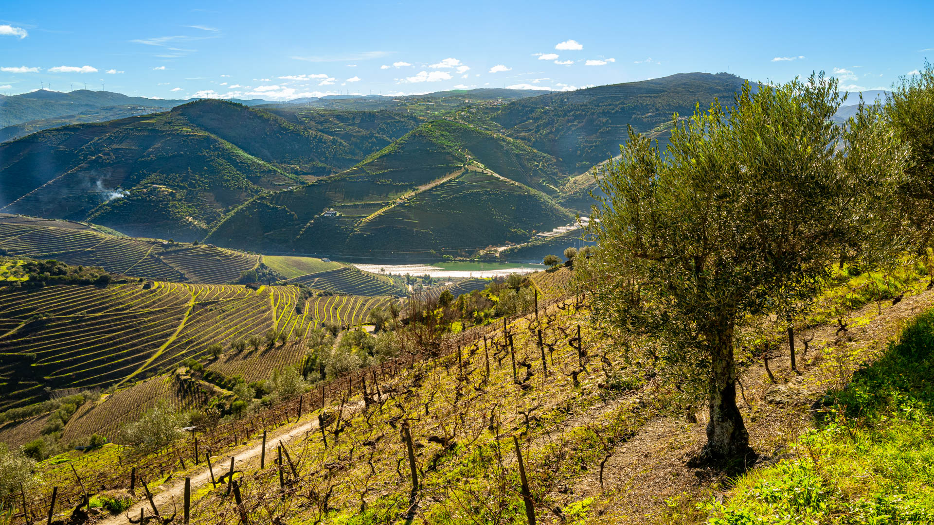 Miradouro da Formiga