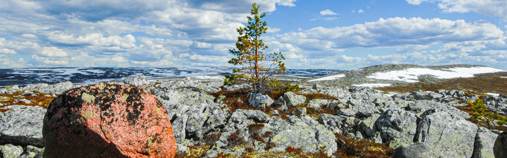 Varggranshågna (940 m)