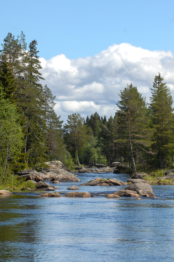 Der Fluss Rånden im Linsellborren Nationalpark