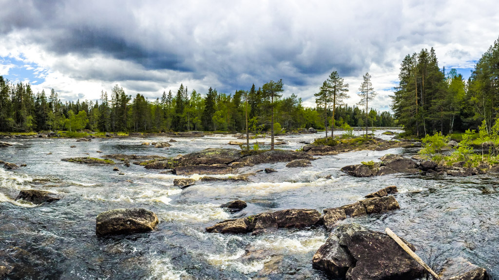 Linsellborren Nationalpark