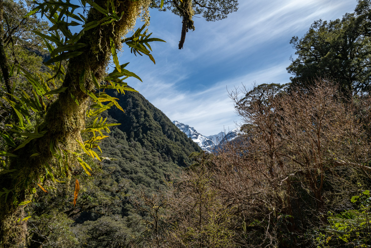 Key Summit Trail