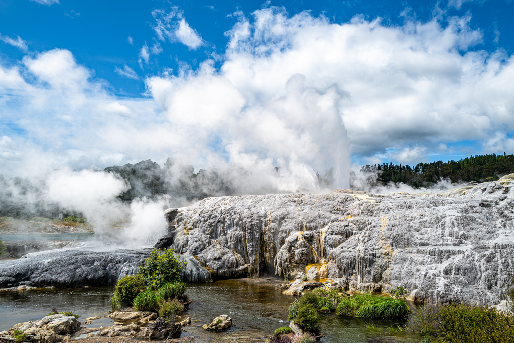 Pohutu Geysir, Rotorua