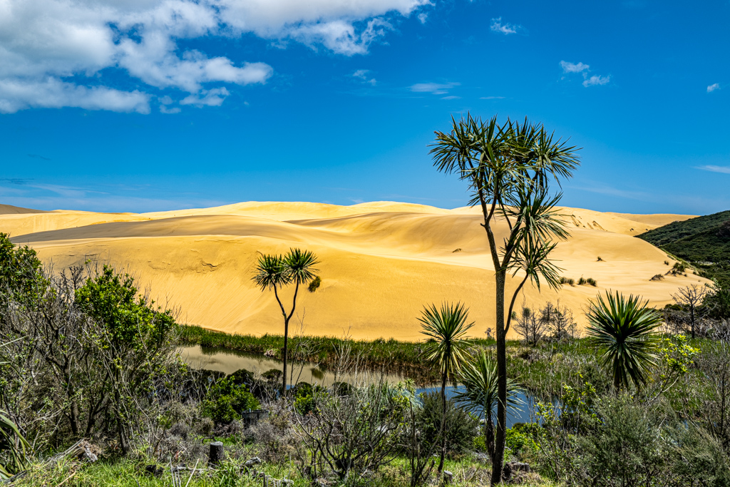 Te Paki Dune, Neuseeland