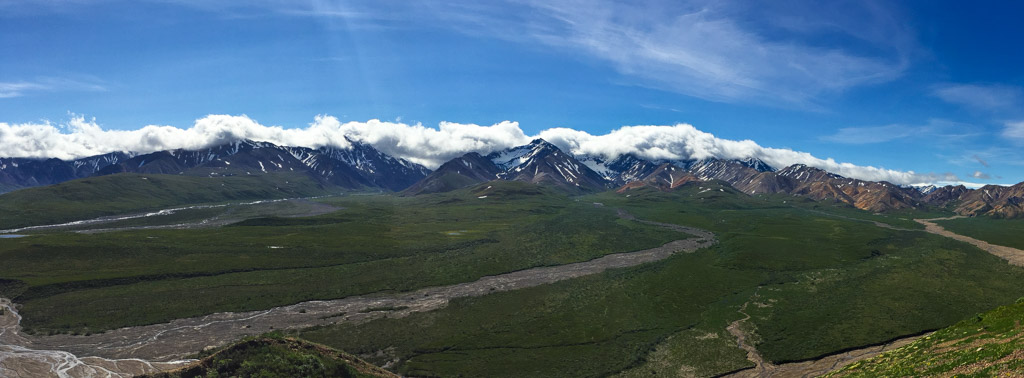 Landscape close to Savage River, Denali N.P.