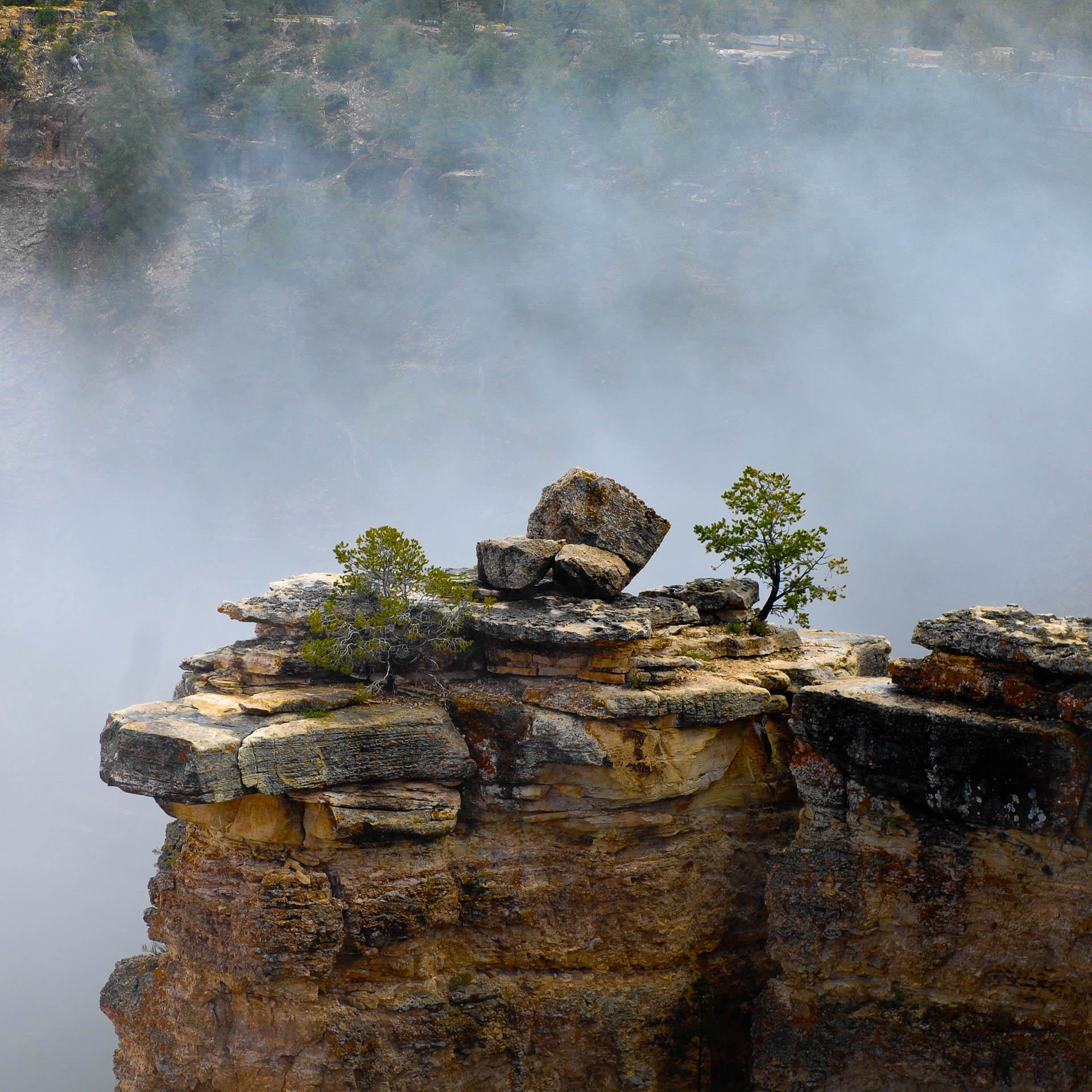 Nebel im Grand Canyon, Foggy Grand Canyon