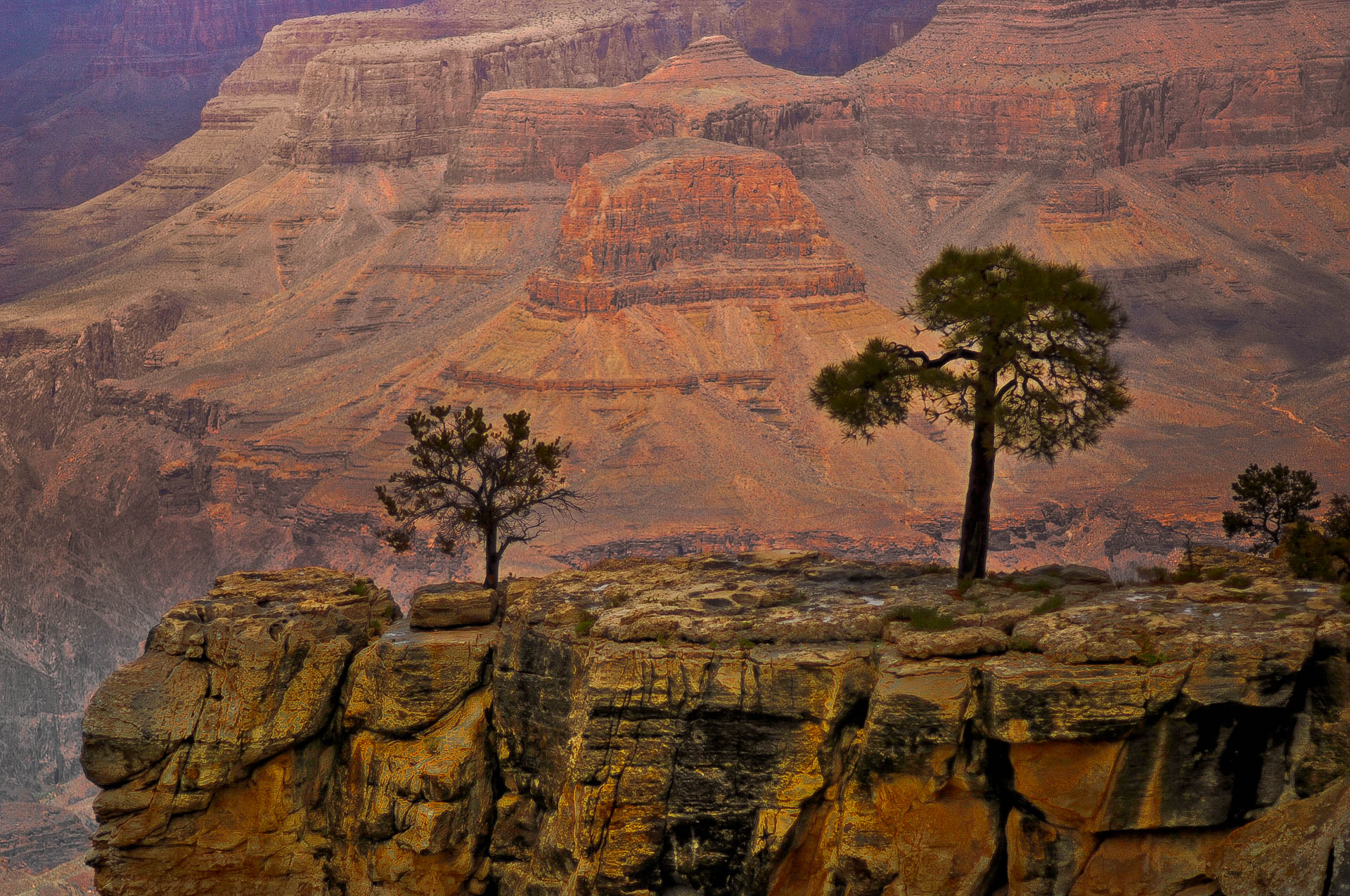 Grand Canyon