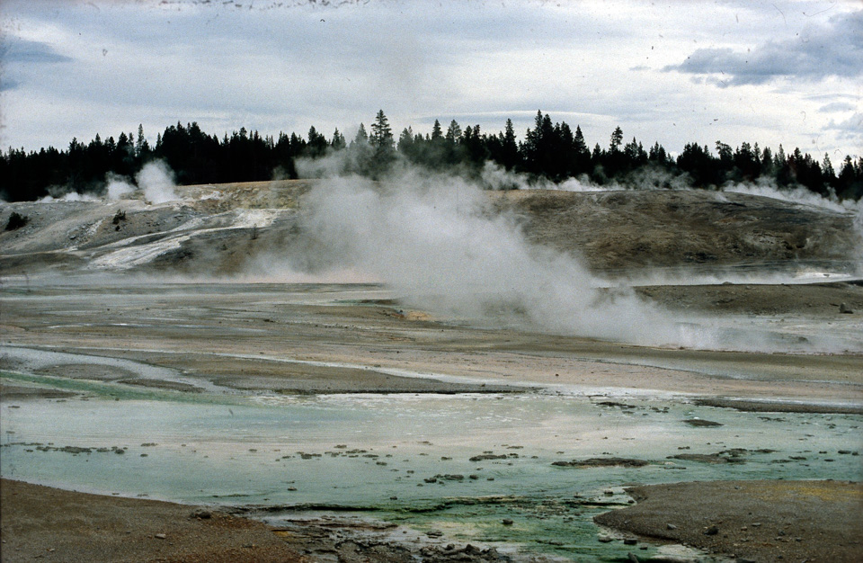 Yellowstone NP