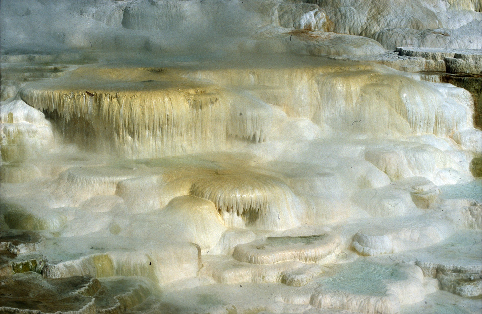 Mammoth Hot Springs, Yellowstone NP